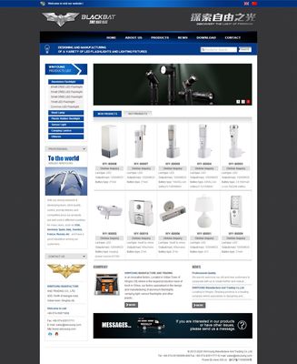 威宇电器 双语网站建设