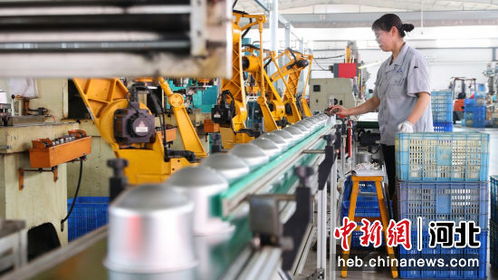 河北南皮创新驱动 小五金 勇闯国际 大市场